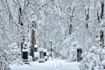 Death and Chocolate: Walking Tour of Munich's Old South Cemetery - Meeting at St. Stephan (Stephansplatz) and getting your bearings fast