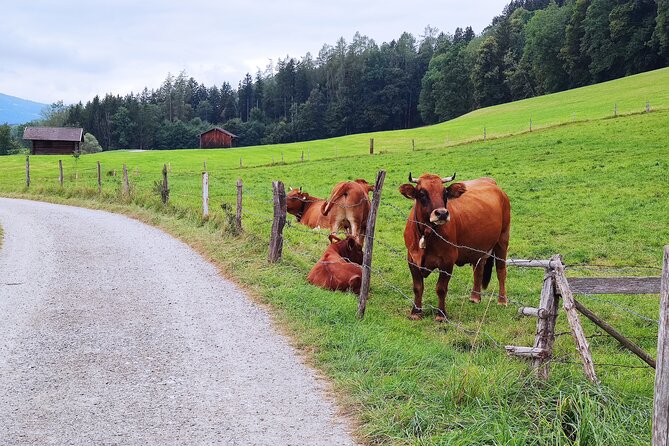 Dragon Slayer Way Beer Hike Food Experience Private Tour (departs Munich) - Munich to Murnau by train: smooth start, less stress