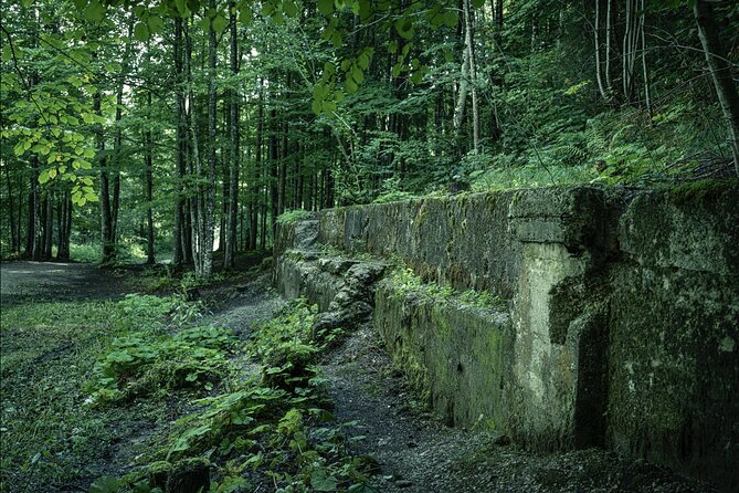 Eagle's Nest-Berchtesgaden-Obersalzberg Private Half Day WWII Historical Tour - Where this half-day WWII tour fits on your itinerary