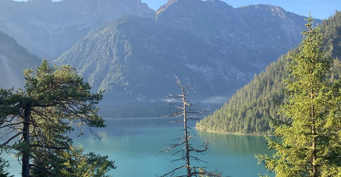 Ehrwald: Hiking Tour into breath taking Nature - What you’ll see on the walk: lakes, rivers, alpine flowers, and wildlife