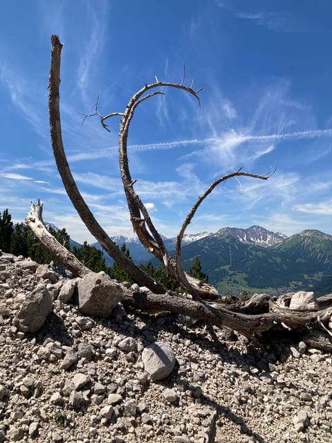 Ehrwald: Hiking Tour into breath taking Nature - The log cabin stop and the lake photo viewpoint