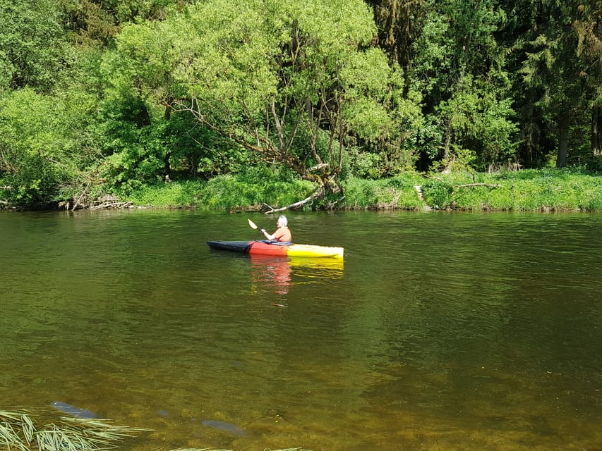 From Viechtach: Regen River Canoe Tour to Höllensteinsee - Practical tips: what to bring and what to expect on the water