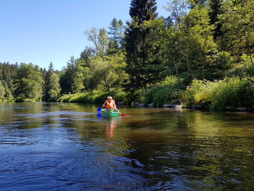 From Viechtach: Regen River Canoe Tour to Höllensteinsee - Who this canoe tour suits best (and who might want something else)