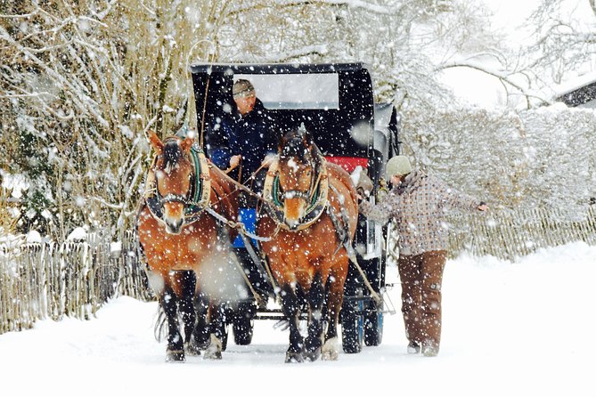 Horse Carriage Tour of Garmisch-Partenkirchen - The short walking tour in Partenkirchen before the carriage