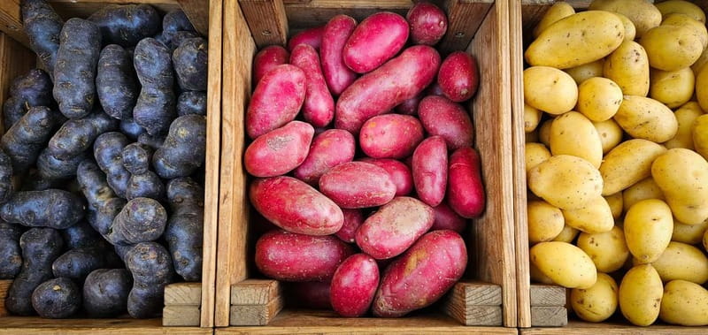 München: Vegetarische Viktualienmarkt-Probiertour Deutsch - How the “vendor stories” change the feel of a food tour