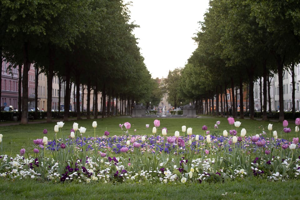 Munich: 3-Hour Food Tour Through Haidhausen in GERMAN - The French Quarter Portion: A Change of Pace Mid-Walk