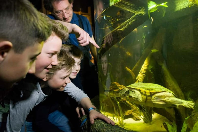 Munich: Day Ticket to Sea Life - Key highlights to plan around