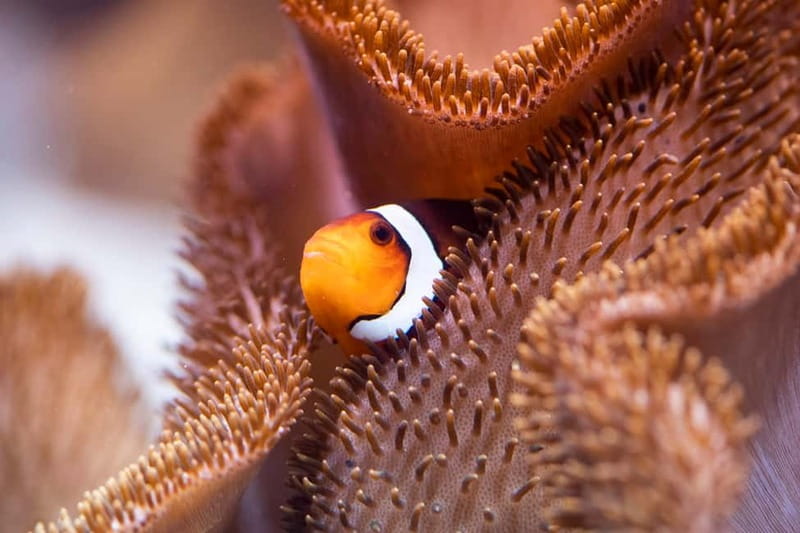 Munich: Day Ticket to Sea Life - Your aquarium route: the Isar River to the Tropical Island