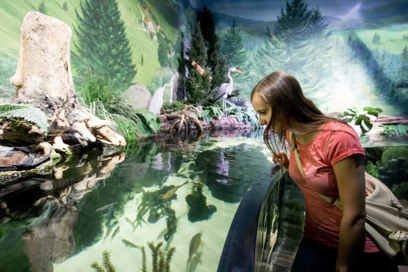 Munich: Day Ticket to Sea Life - Daily feedings and aquarist Q&A: when the show gets lively