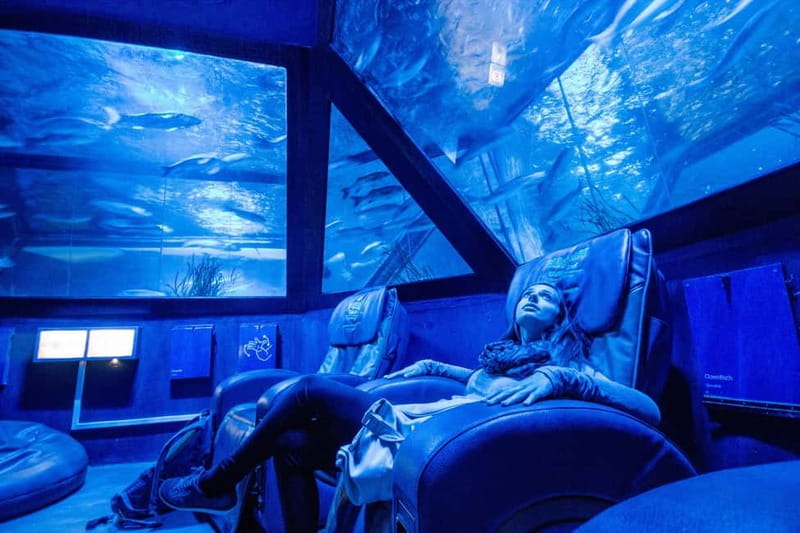 Munich: Day Ticket to Sea Life - Is the $25 day ticket worth it?