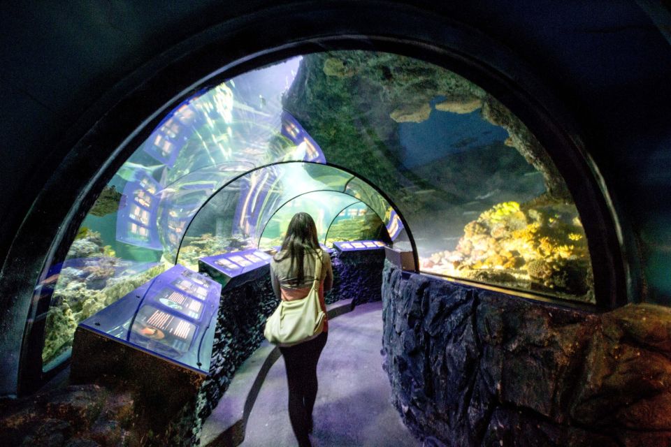 Munich: Day Ticket to Sea Life - Who this Sea Life Munich visit suits best