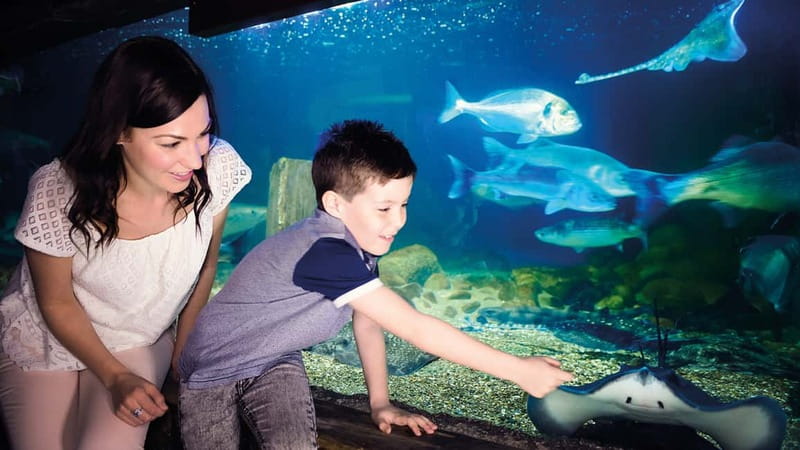 Munich: Day Ticket to Sea Life - Should you book?