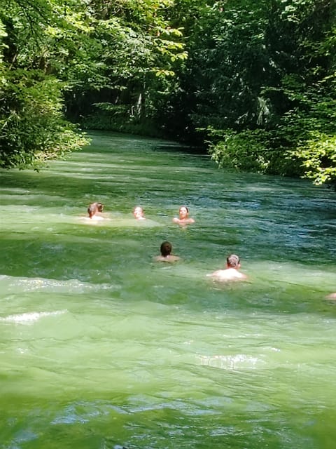 Munich: Mini Classic Bike Tour with Beer Garden Stop at 4 PM - Odeonsplatz and Hofgarten: a quick start that sets the tone