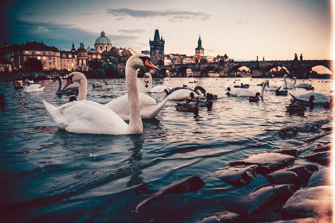 Munich to Prague - Private Transfer with 2 hours of Sightseeing - Vehicle Comfort and Luggage: Sedans, MPVs, and Vans