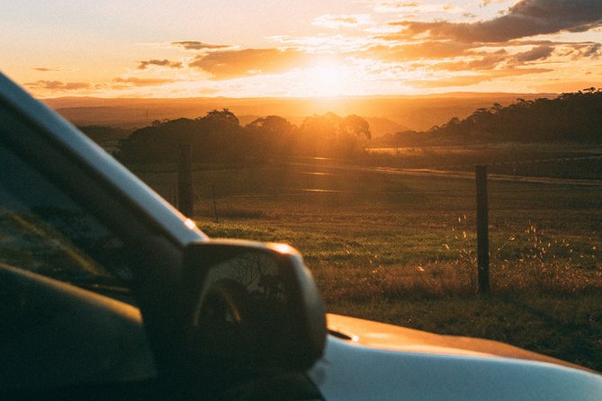 Munich to Prague - Private Transfer with 2 hours of Sightseeing - Practical Tips That Make the Stops Feel Longer
