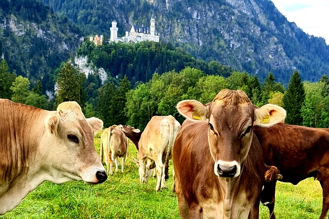 Neuschwanstein Castle, Ettal Abbey and Oberammergau Private Tour from Munich - Ettal Abbey: Baroque architecture and Benedictine life
