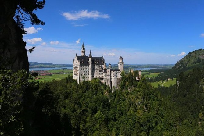 Neuschwanstein Castle & more - Private Tour from Munich - Wies Pilgrimage Church: color, calm, and music in a packed year