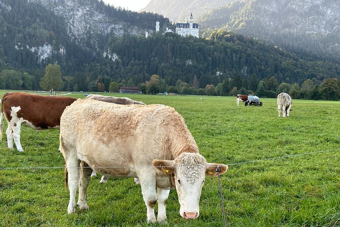 Neuschwanstein Castle & more - Private Tour from Munich - Passionstheater: Bavarian houses and a different kind of culture