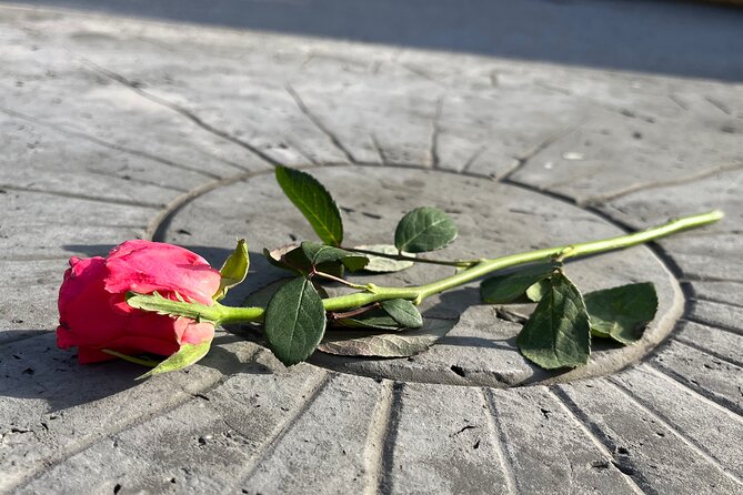 Private Dachau Concentration Camp Memorial Site Tour from Munich - Practical Tips for a Respectful, Less-Rushed Day