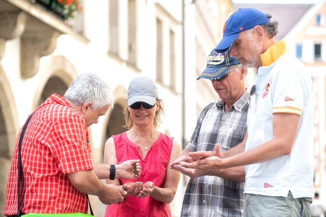 Private Munich Old Town and Third Reich Walking Tour - Marienplatz to Frauenkirche: Where Munich Shows Its Face