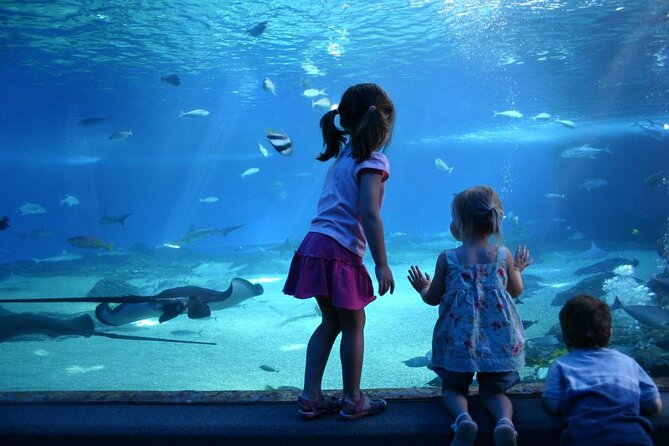 SEA LIFE Munich Admission Ticket - Key highlights I’d plan around