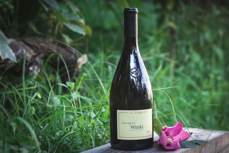 South Tyrolean specialties and wine tasting - Why the Terroir Explanation Matters (Alpine Climate and Mineral Soils)
