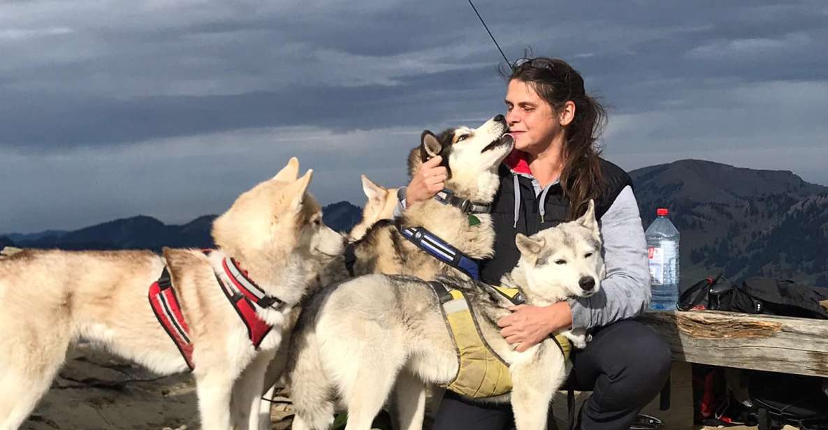 Unterallgäu: Wiedergeltingen Guided Hike with Huskies - Kennel DingoCasabel: meeting huskies before you hit the trail