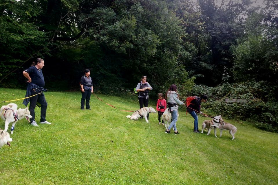 Unterallgäu: Wiedergeltingen Guided Hike with Huskies - The guided trek through Wiedergeltingen’s lakes, valleys, and forests